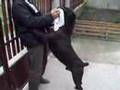 Cane Corso Lotar Custodi Nos