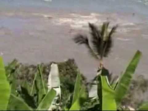 Tsunami Hits Hawaii Video