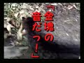 野良猫戦隊ノラニャンジャー 「カイカイ!ノラレッド」