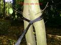 videos de DD Hammock / Bivi & Tarp 2of2