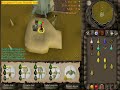 New update Barbarian Assault, this is a video of the boss you must kill on Wave 10 ... Penance queen barabarian assault runescape new update boss dharok guthan verac ahrim 
