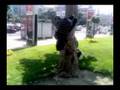 Parkour Bucharest