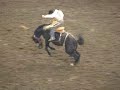 Rodeo finals Edmonton