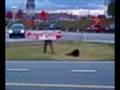 Sign Guy.3gp