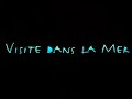 VISTE DANS LA MER