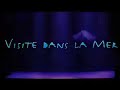 VISTE DANS LA MER