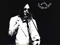 Neil Young  Borrowed Tune - Young Neil