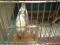 videos de 081226_1920~0001.m4v