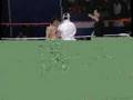 STaMPEDE WRESTLING 01/29/1988