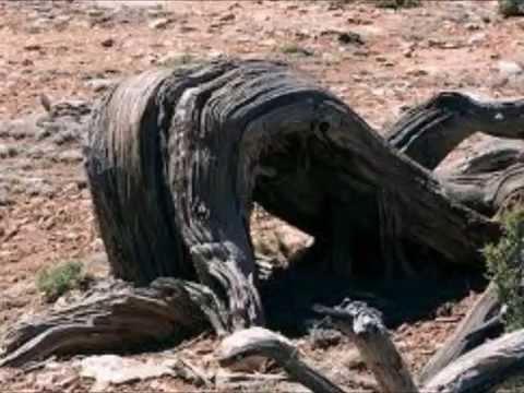 allah - Video with name of allah and miracles First pic i see this ward الله with my eyes mashaalah.