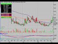 Bull Warrior Charts Review: Week of 12/7/09