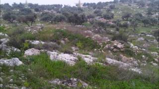 الطبيعة الخلابة في جبال مدينة الطيبة (المثلث) فلسطين الطبيعة الخلابة في جبال مدينة الطيبة (المثلث) فلسطين