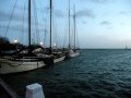 Hoorn