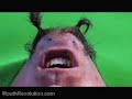 Mouth Revolution (With Outtakes)