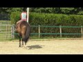 rijden op mijn lief paard diallo