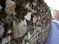 \"Tardes de caf�\" - La Buena Vida