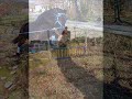Jardar film