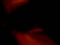 tartar sauce - ring ringan (tripings)