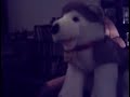 virus alert bild a bear band meets beary lucky band virus alert bild a bear band meets beary lucky band