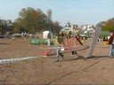 WENA - LA0 - Zawody Agility Warszawa