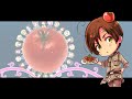 [APH] Marukaite Tomato ~ 