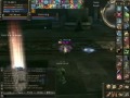 Arcana Lord Feline king