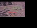 grand canyon flood 1983 100000 cfs part two of two