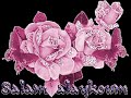 nice nachid نشيد