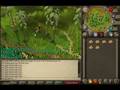 Woodcutting guide (fastest xp and best money)