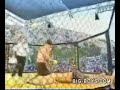 Peleas a Muerte