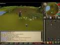 RuneScape - Big Chompy Bird Hunting