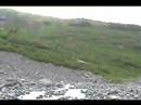 Tidewater Glaciers