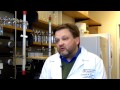 Gene Therapy Reveals Immunity in DMD