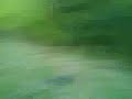 Watch 'Bundeswehr is Lustig'