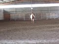 Chili kommer p� inkallning 2.wmv