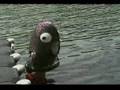 videos de english project - the old jane and a bean dream