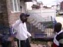 Flavor flav\ Flavor flav\