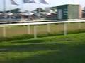 Pure Temptation Wins the Sandy Lane Barbados Gold Cup 2008