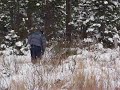 Babi et Alexan ramènent un sapin.MOV