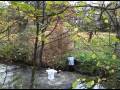 traversée canal pré leroy Niort