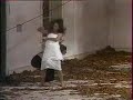 Pina Bausch : Barbe Bleue (intégrale 7 sur 12)
