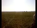 d�colage avion de chasse