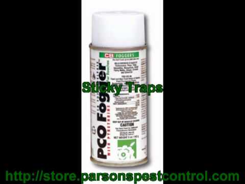 how to get rid of drain flies uk