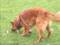 G&G3 oefeningen deel 2
