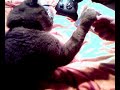 Micki beim spielen