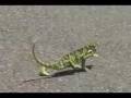 videos de baile super chido.wmv