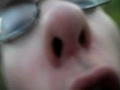young-life-randomness.html