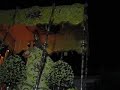 virgen del carmen san cayetano  córdoba  1