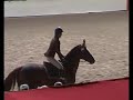 Jivaro du Rouet