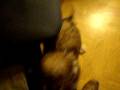 videos de mateo el nervioso.AVI